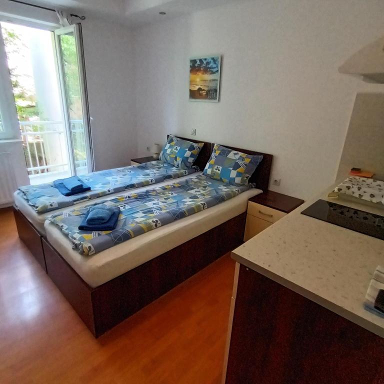 Maja V Apartmani Sokobanja - Standardni Studio - 5