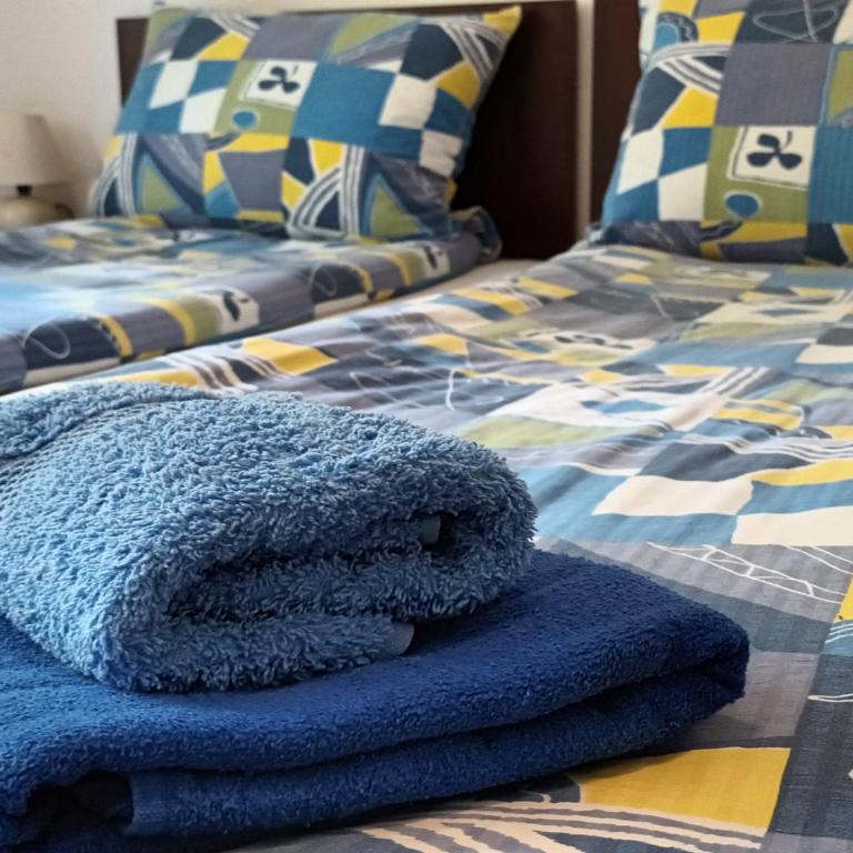 Maja V Apartmani Sokobanja - Standardni Studio - 11