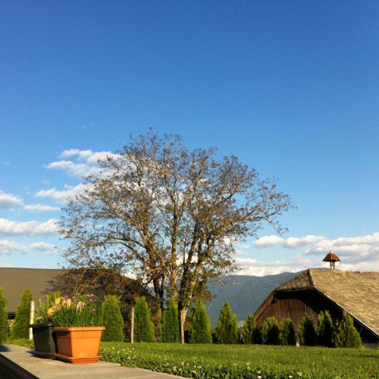 Appartament Eichnerhof - Appartamento con 2 Camere da Letto - 44