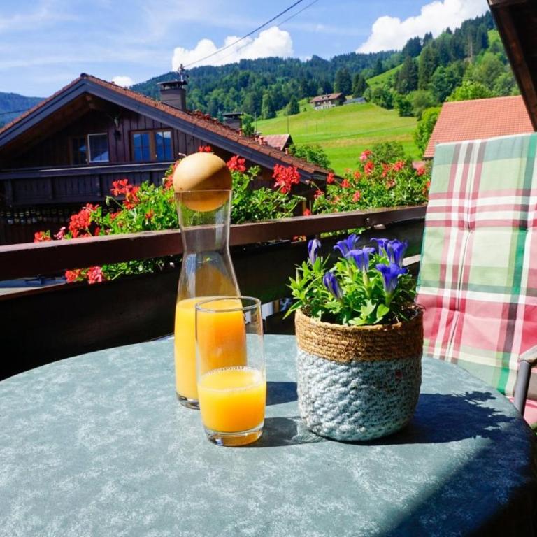 Landhaus Schädele - Freie Fahrt Allgäuer Bergbahnen Sommer - Familienapartment mit 2 Schlafzimmern und Aussicht - 5