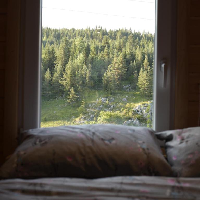 Mountain Paradise Cabins - One-Bedroom House - 14