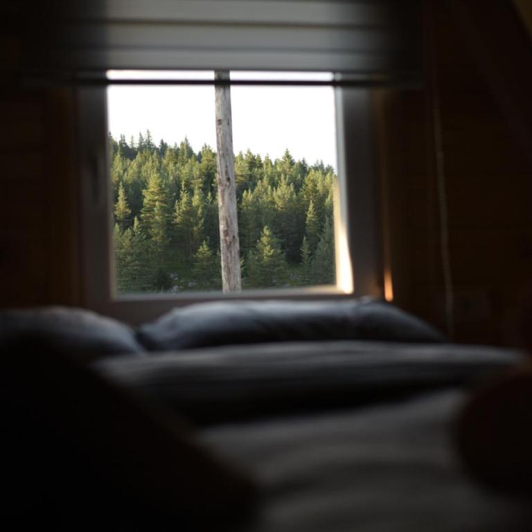 Mountain Paradise Cabins - One-Bedroom House - 18