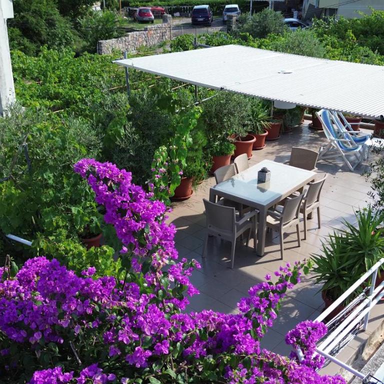 Little Nautilus - Apartman - 50