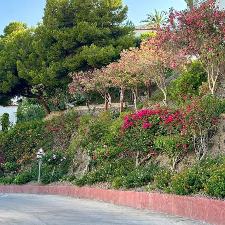 Fantastic Sea Views Sun Lounge - Apartamento de 2 dormitorios - 25