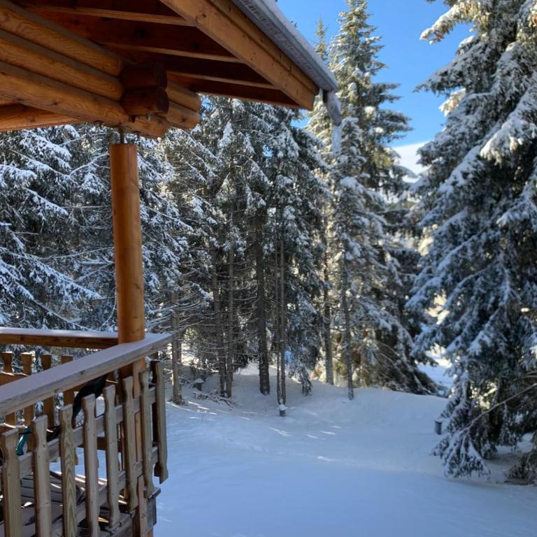 Chalet bois 45M2 - Chalet 1 Chambre - 11