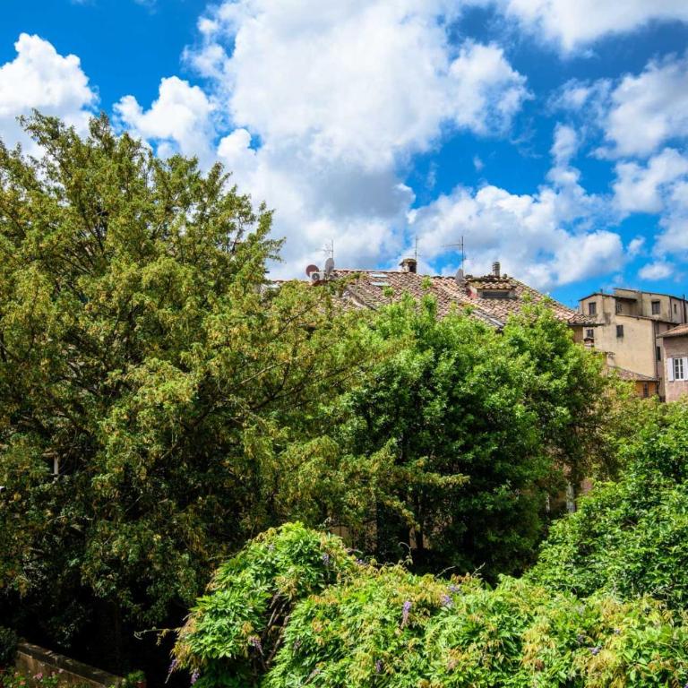 Garden Vista Charming Apartment 2 Bedrooms 2 Bathrooms - Appartamento con 2 Camere da Letto - 35