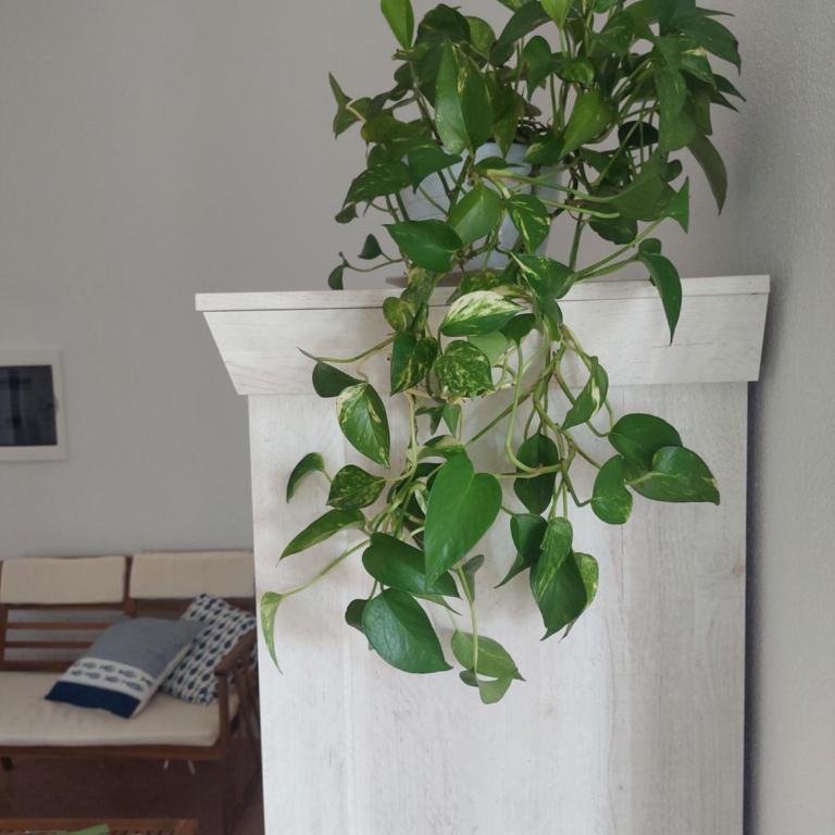 Venus Apartment Villasimius - Appartamento con 3 Camere da Letto - 39