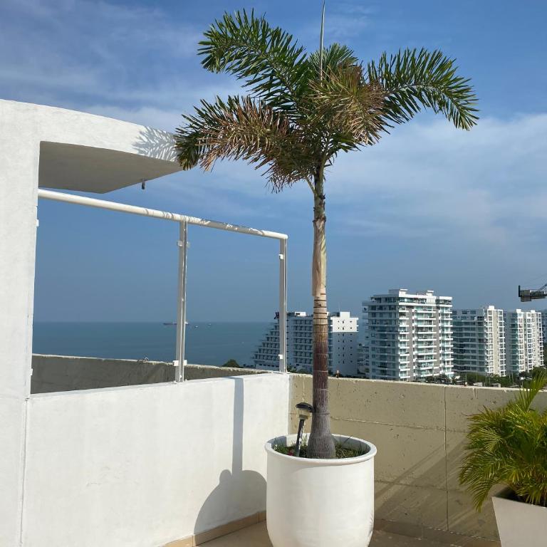 Apartamento nuevo en Infinity Blue - Apartamento de 1 dormitorio con terraza - 19