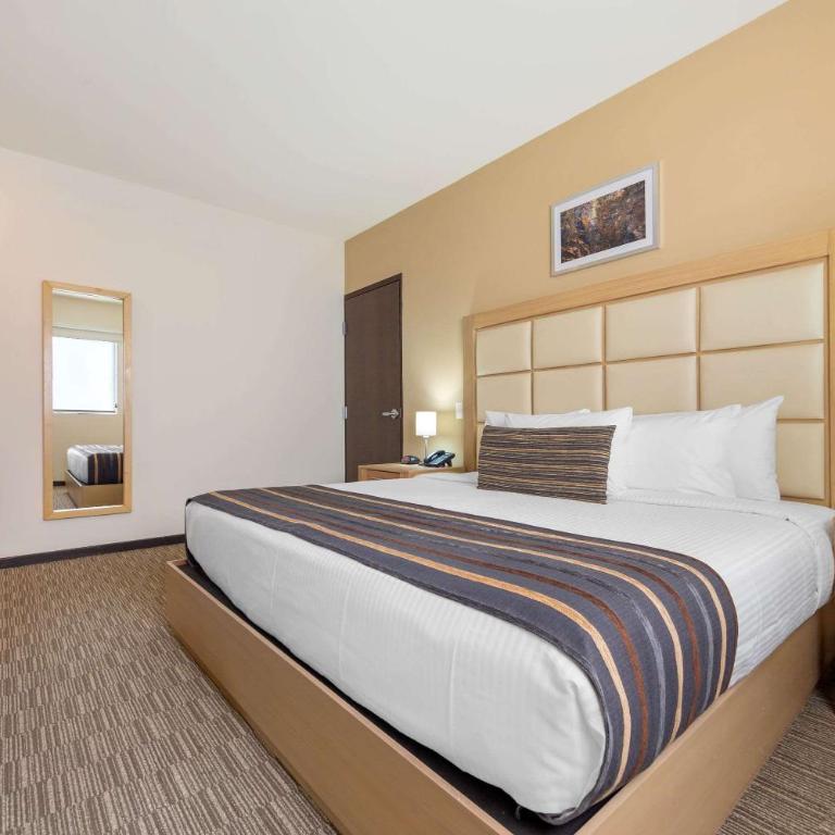 Sleep Inn Monterrey San Pedro - King Room - 5
