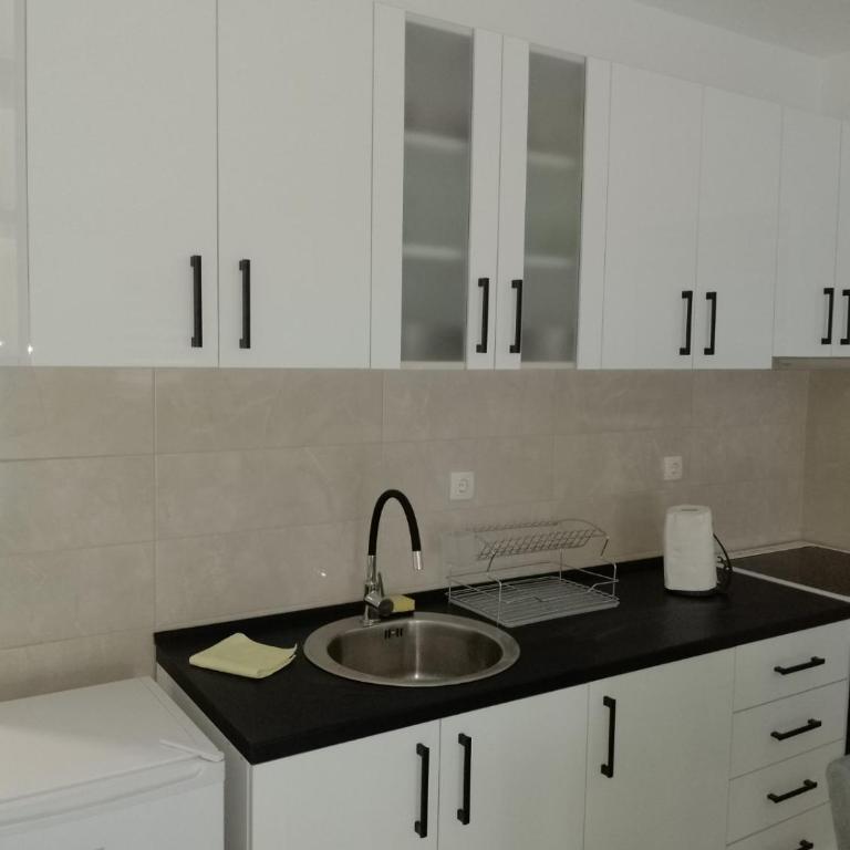 Apartman Petrovic 3 - Apartman sa 1 Spavaćom Sobom - 20