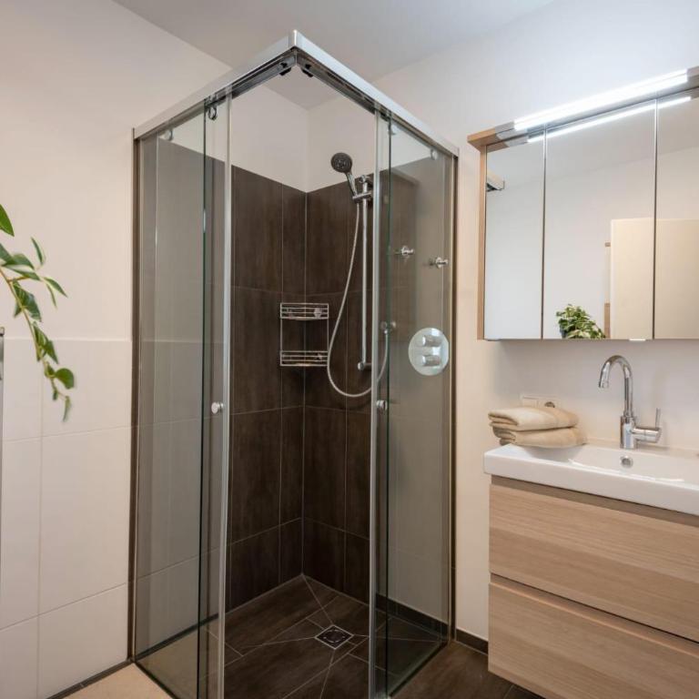 Achenblick - Apartment mit Dusche - 31