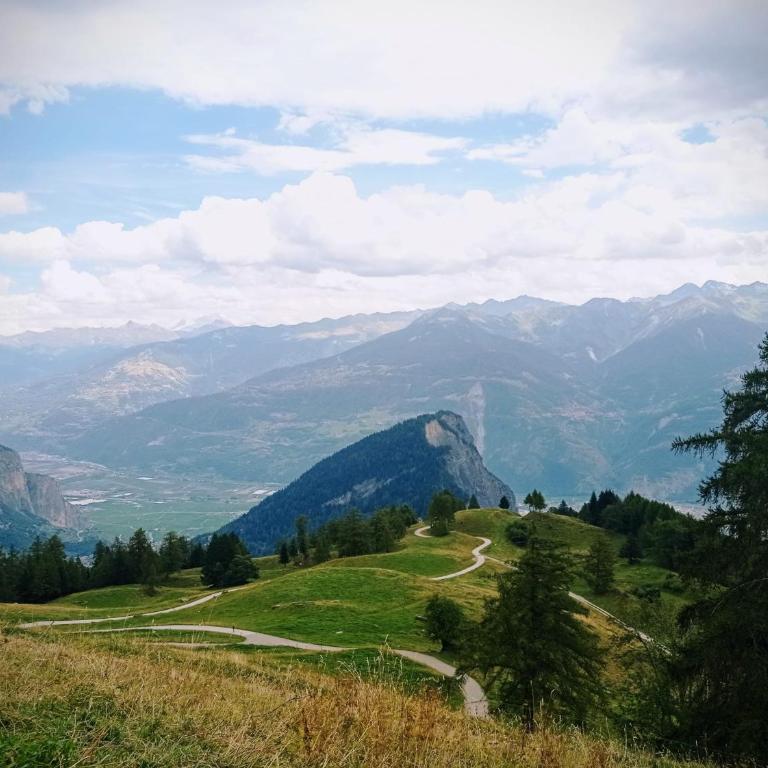L'Azuré d'Ovronnaz - Studio mit Bergblick - 19