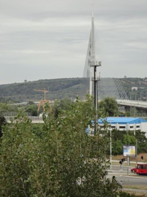 Belgrade Serbia apartment - Apartman sa 2 Spavaće Sobe - 9