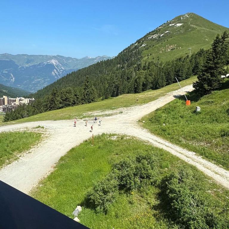 Duplex cosy à Belle Plagne - Ski aux pieds, balcon, piscine, bien-être, animaux admis - Apartment mit 1 Schlafzimmer - 12