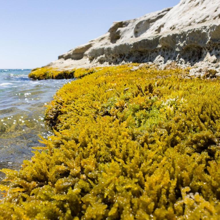 CaSotto il Carrubo, a 100 mt dal mare! - Casa Vacanze - 41