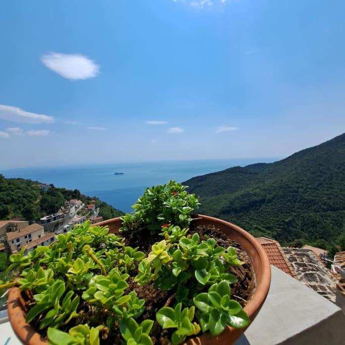 CasaToccacielo - Amalfi Coast - Casa con 1 Camera da Letto - 21