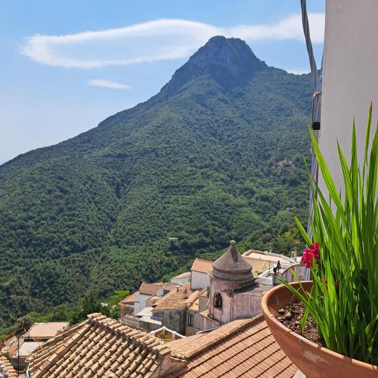 CasaToccacielo - Amalfi Coast - Casa con 1 Camera da Letto - 25