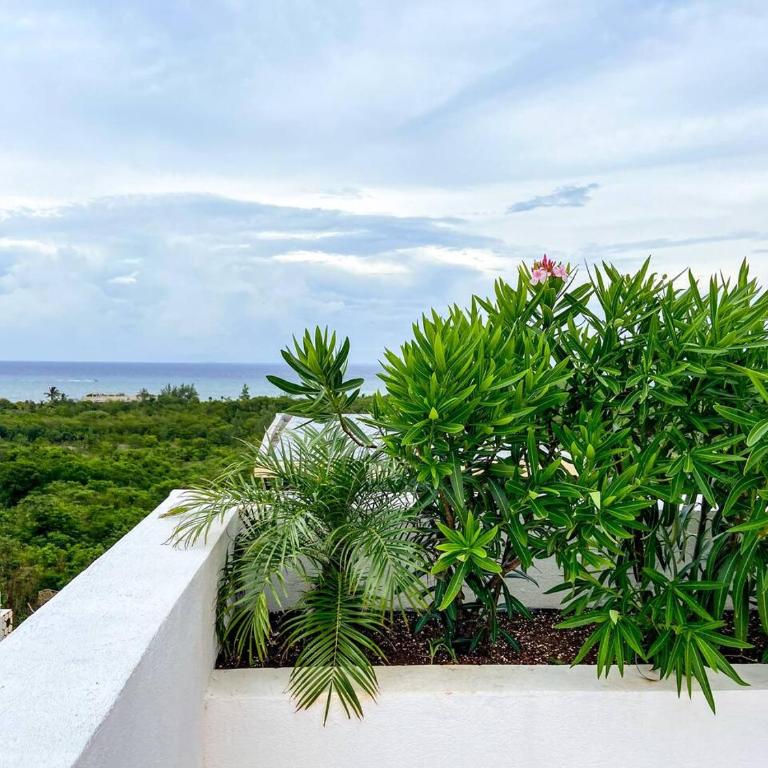 XKAA - Best Studio at 5th Ave with Pool Gym Steps to Beach - Apartamento - 34