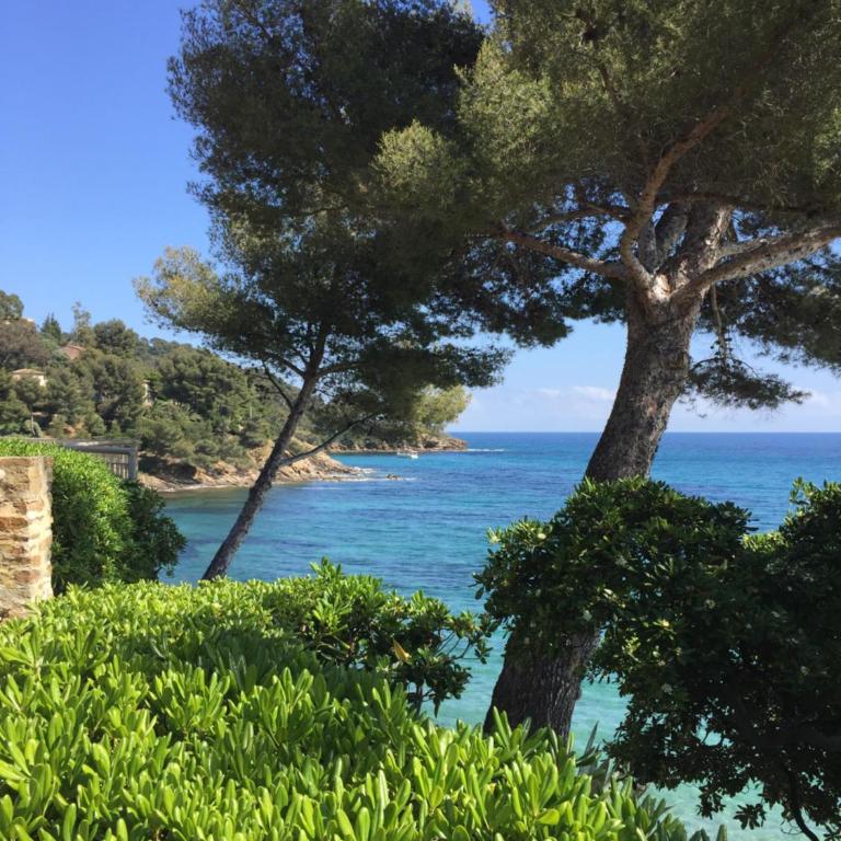 Calme,mer, nature - Appartement 1 Chambre - 12