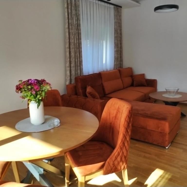 Mountain Pine Apartments & Spa - Zlatibor - Apartman sa Balkonom i Lepim Pogledom - 7