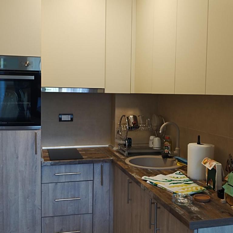 Mountain Pine Apartments & Spa - Zlatibor - Apartman sa Balkonom i Lepim Pogledom - 10