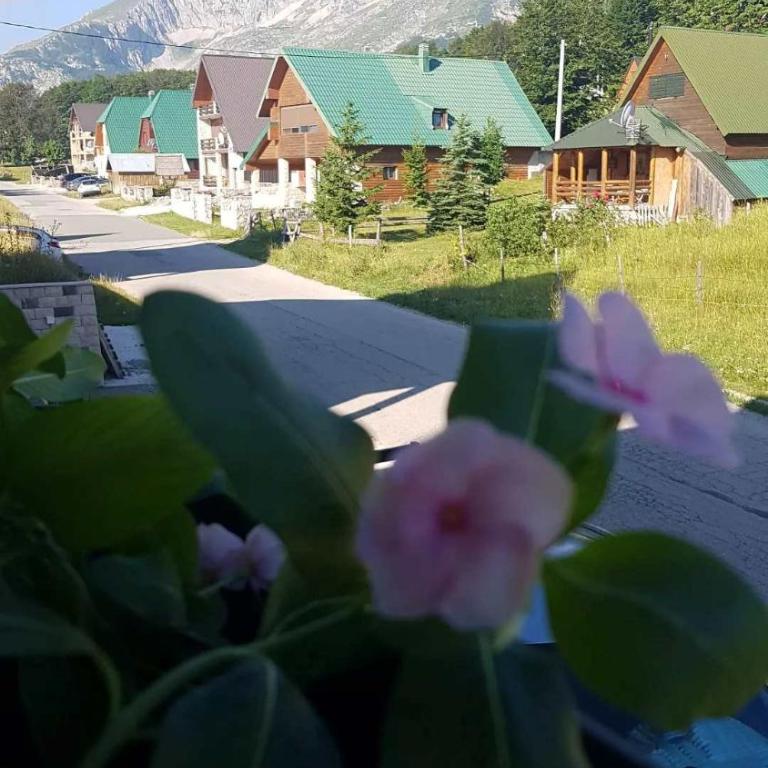 Montenegro High Mountain Apartment - Apartment - 3