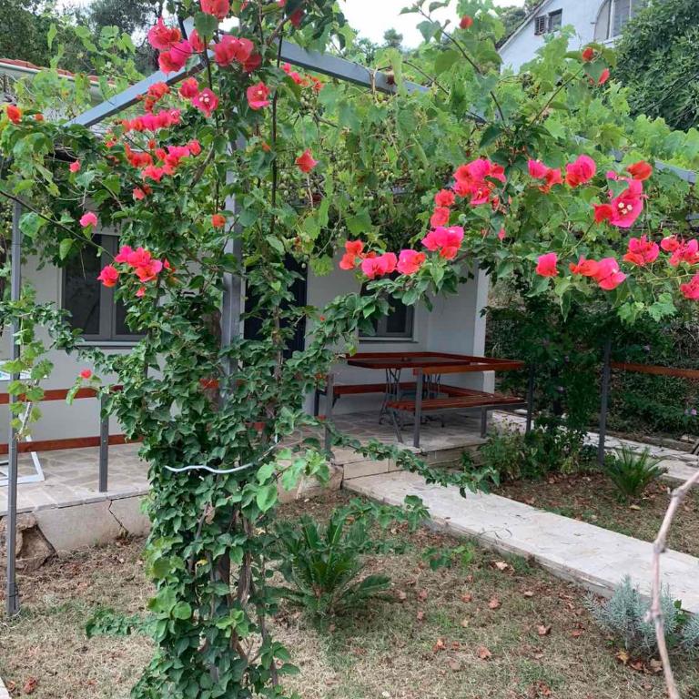 Kućica Bojana - Kuća sa 1 Spavaćom Sobom - 8