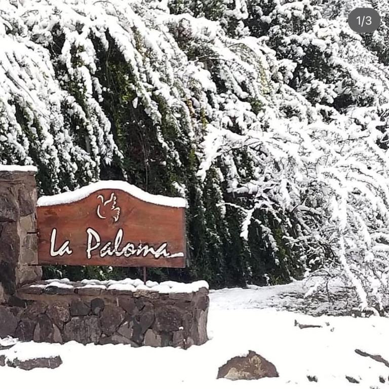 La Paloma Posada - Apartamento con vistas a la piscina - 5