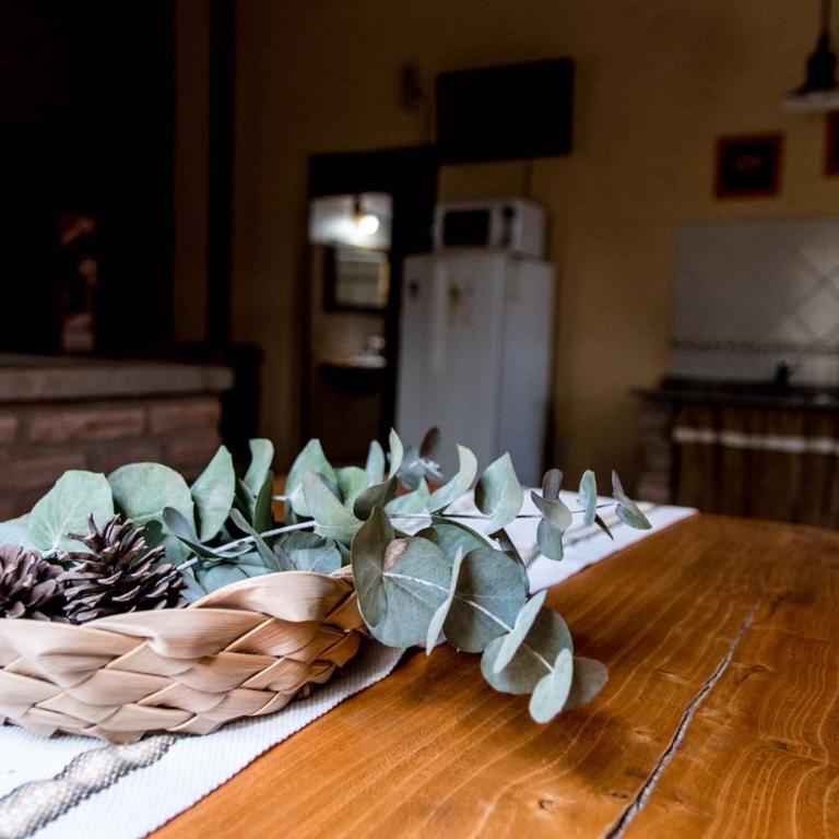 La Paloma Posada - Cabaña con vistas al jardín - 3