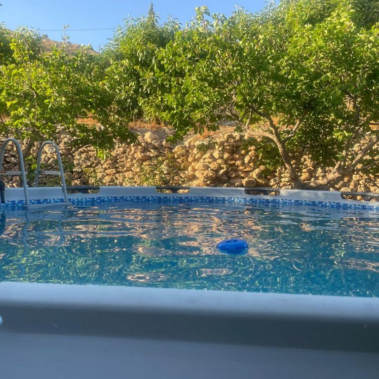 Finca Bocacha - Casa con 1 dormitorio - 3