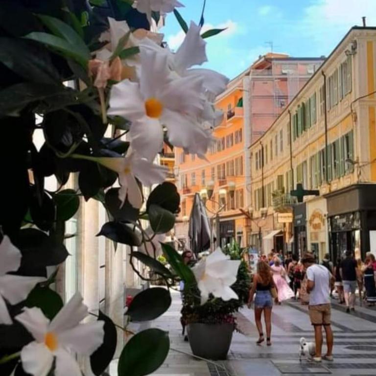 Casa Girasole Sanremo centro - Appartamento con 1 Camera da Letto - 21