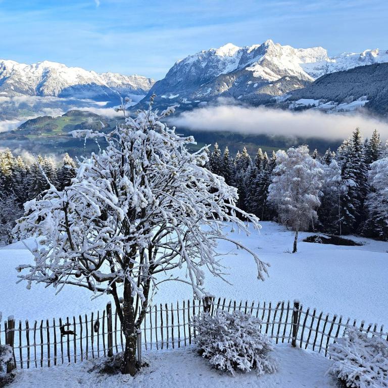 Panorama Chalet Höllmaishof - Chalet mit 2 Schlafzimmern - 41