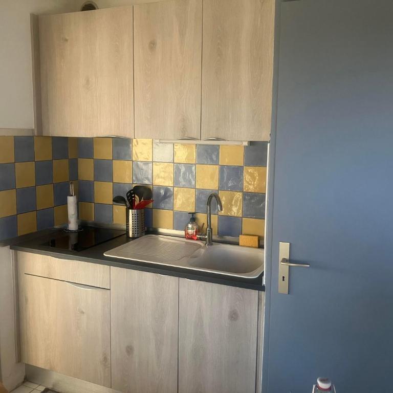 argeles sur mer - Appartement 1 Chambre - 3
