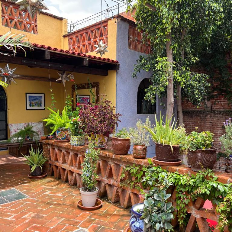 Boutique Hotel Casa Camellia - Deluxe Queen Room - 27