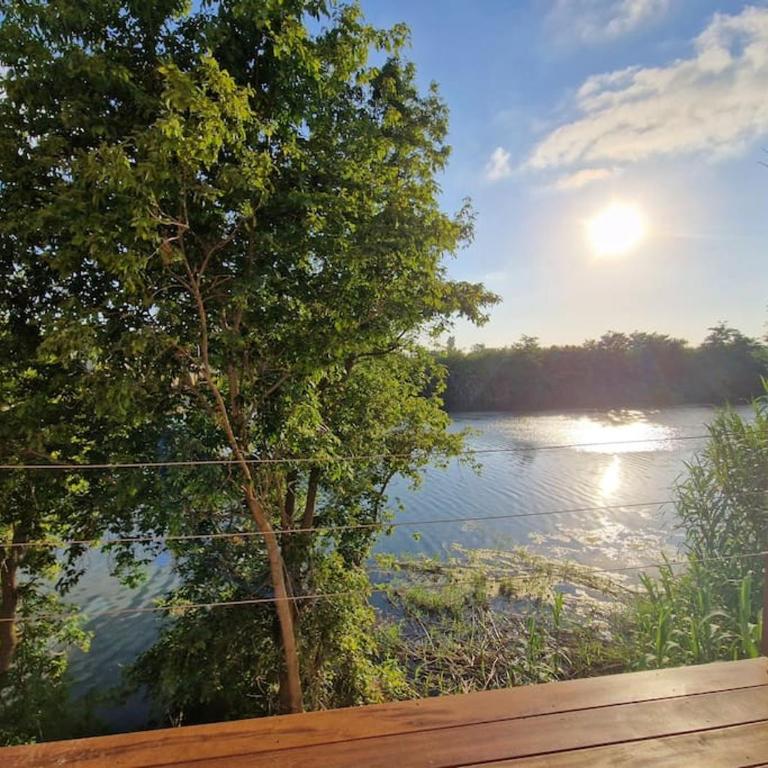 Magnifique suite avec vue sur l'Orb - Appartement 1 Chambre - 3