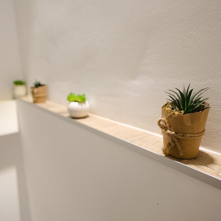 Tara Apartments - Studio - 11