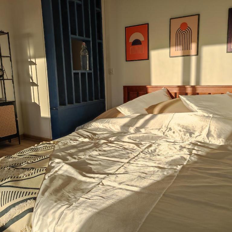 Spacious, Comfortable, Serene - One-Bedroom Apartment - 4
