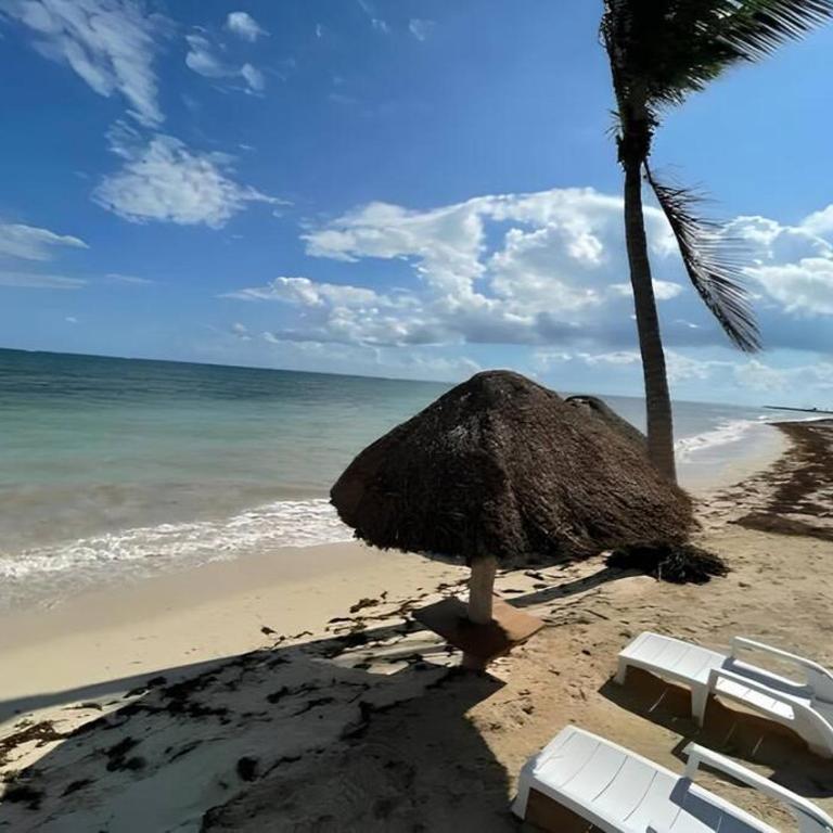 Palma Real By Andiani Travel - Two-Bedroom Apartment - 20