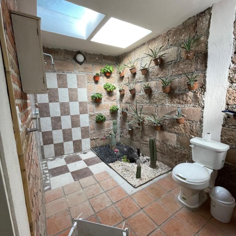 Jardín Quinta Las Fuentes Cabañas, Valsequillo. PUEBLA - Casa de 2 dormitorios - 8