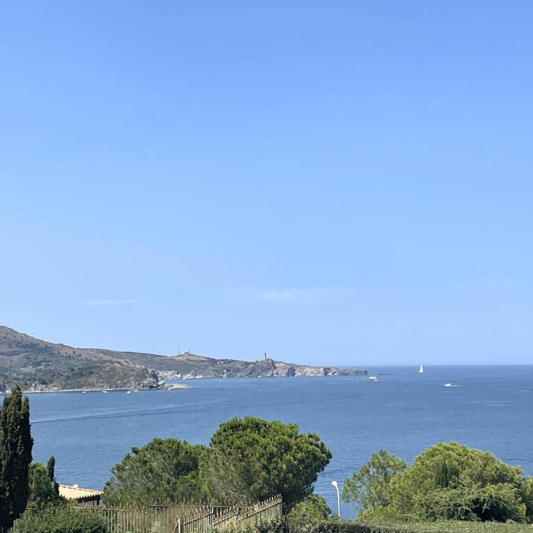 BANYULS-SUR-MER, T2 climatisé, terrasse, parking, proche crique - FR-1-309-235 - Apartment mit 1 Schlafzimmer - 1