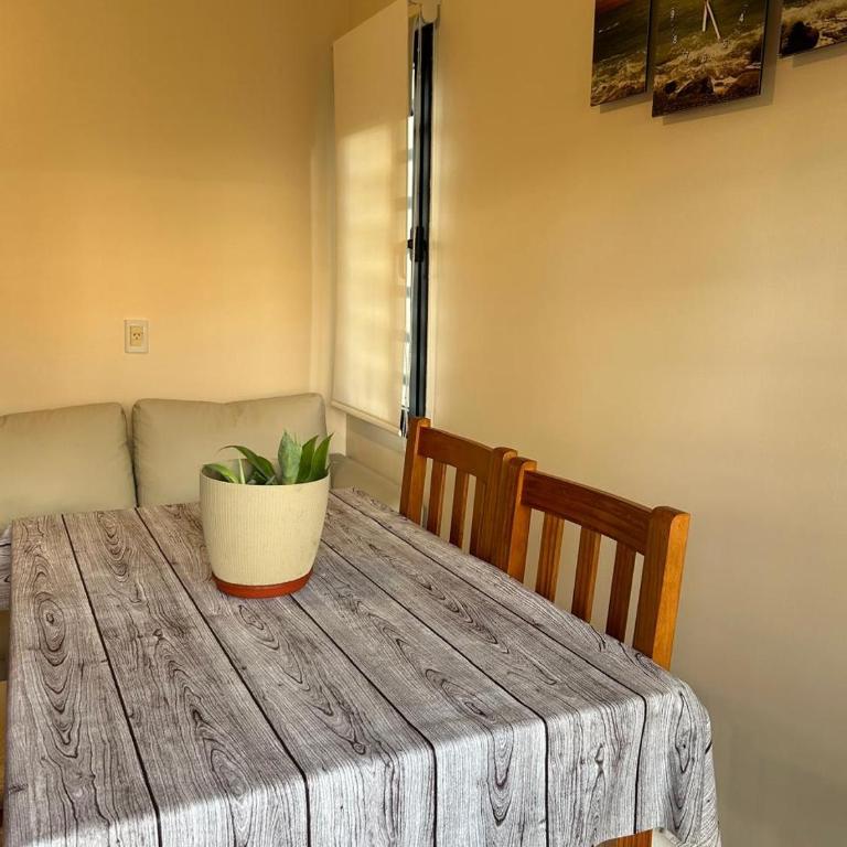 Complejo Médanos - One-Bedroom Apartment with Garden - 9