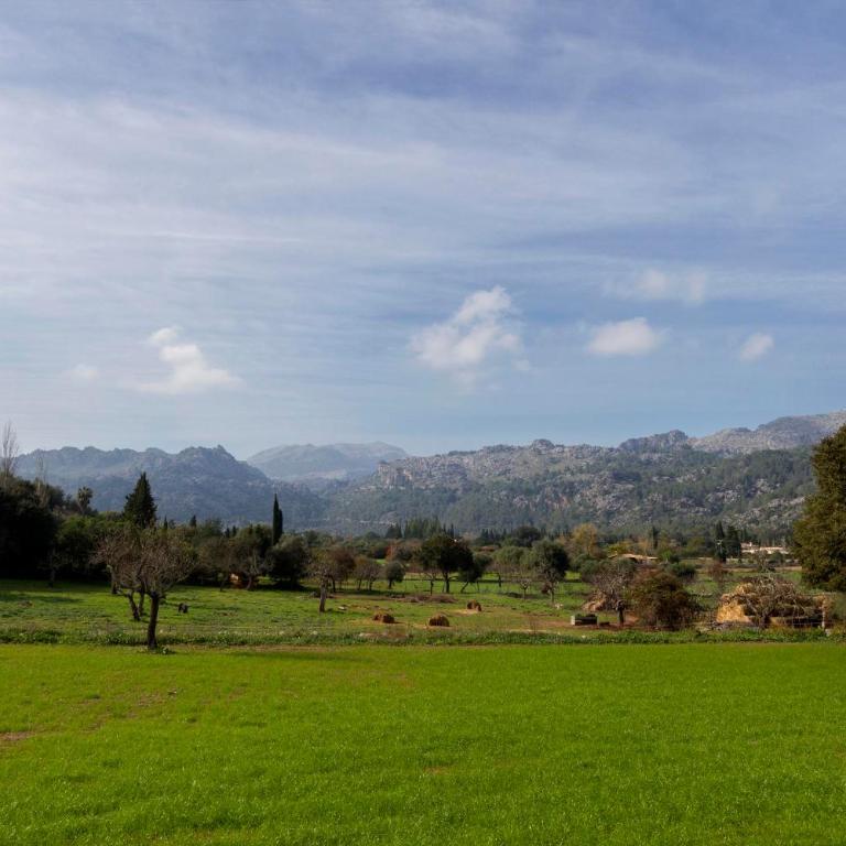 Villa Plana Morro - Villa - 29