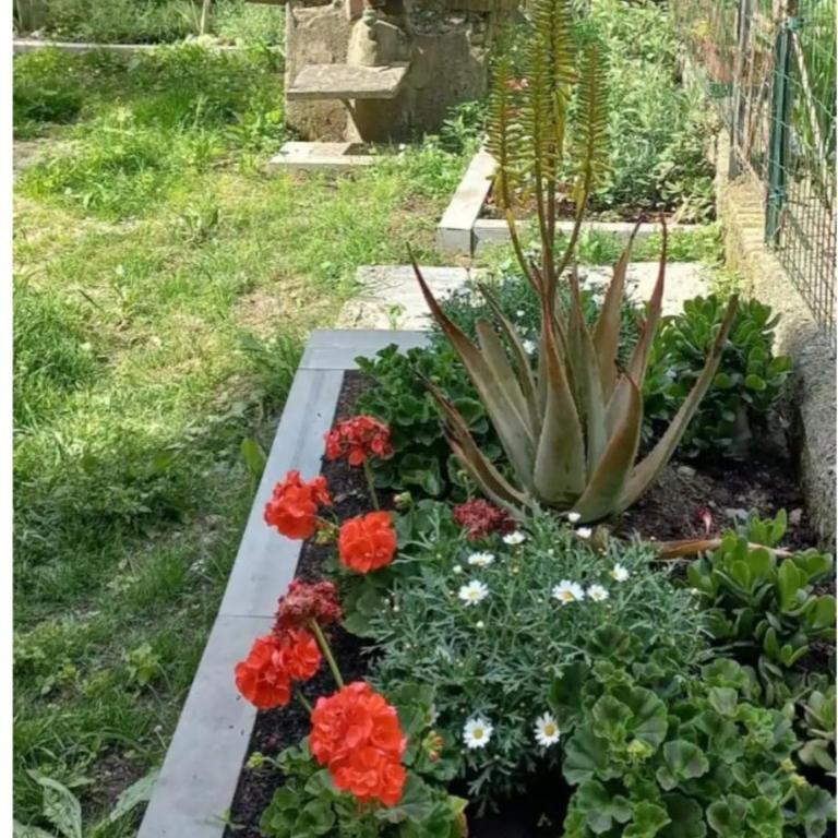 Casa Giulia - Appartamento con 2 Camere da Letto - 10