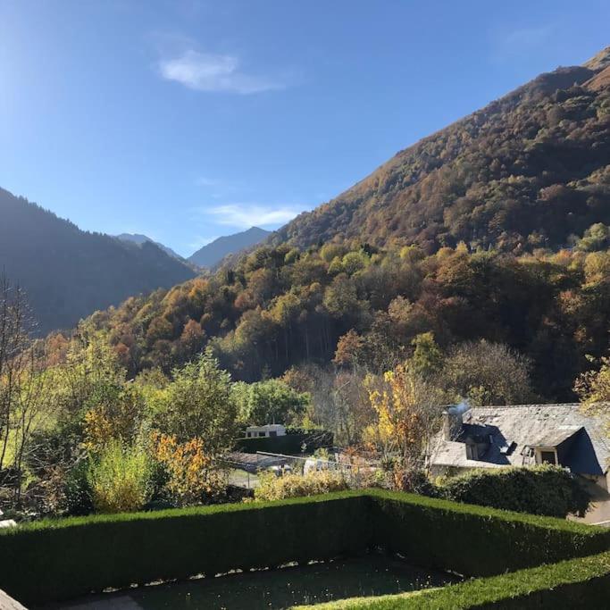 Chalet 7 - Chalet 3 Chambres - 15