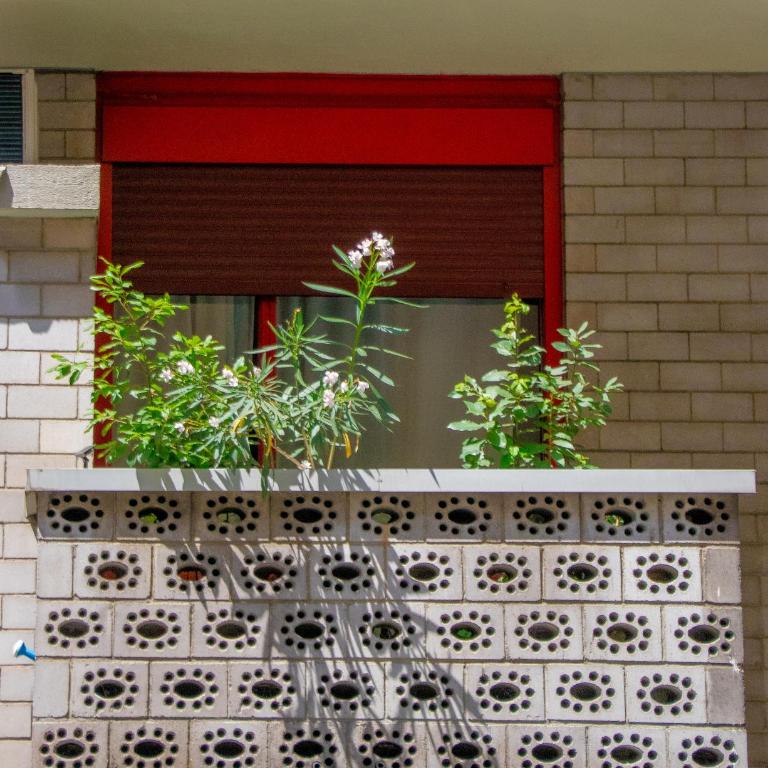 Carducci green - Appartamento monolocale - Appartamento con 1 Camera da Letto - 25