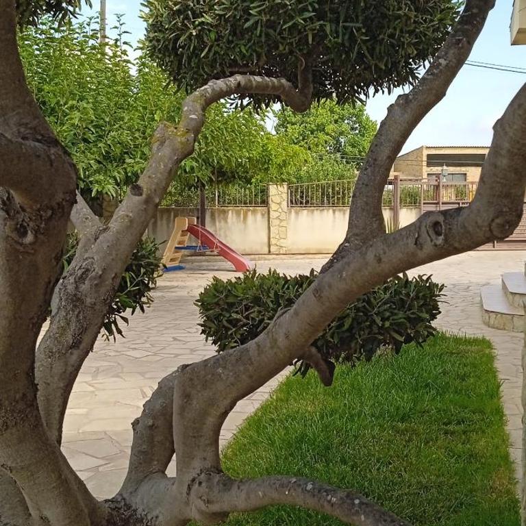 Susana - Three-Bedroom Home - 5