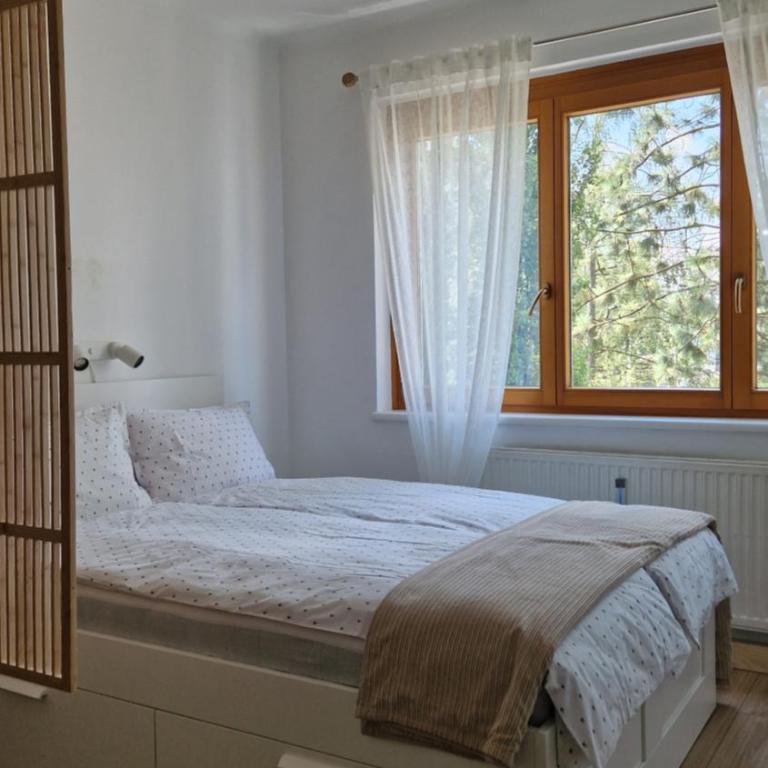 Cosy Apartment with a Magnificent View - Apartment mit 1 Schlafzimmer - 12