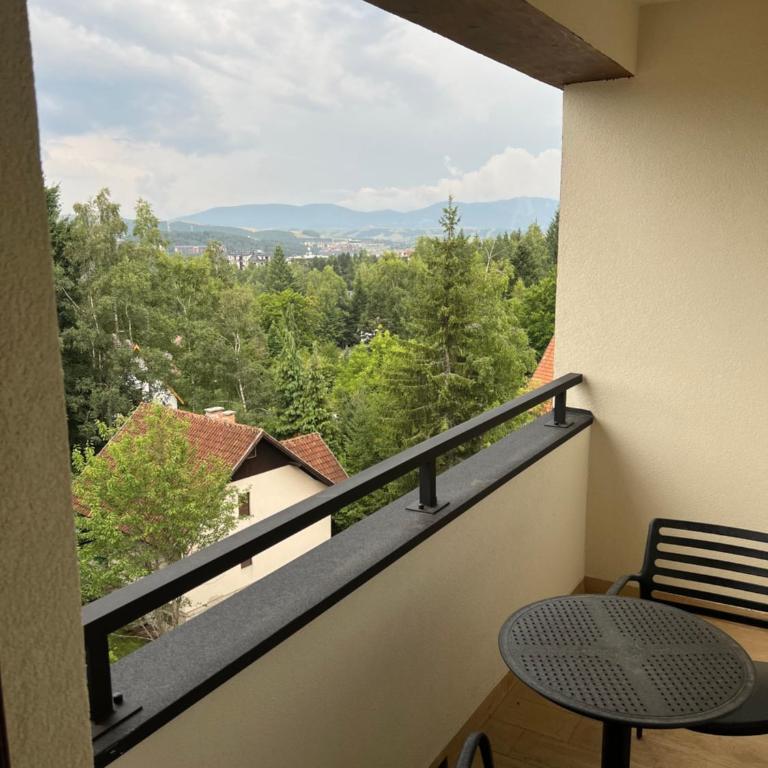 Prestige Forest Zlatibor - Apartman s 1 Spavaćom Sobom i Balkonom - 4