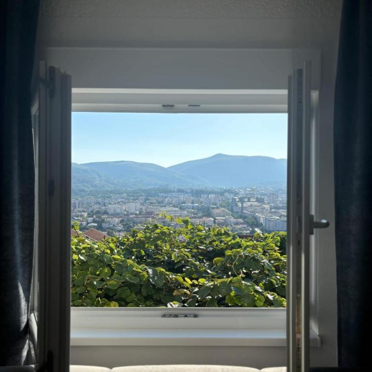 Comfort F & F Apartment - Apartman sa 2 Spavaće Sobe - 12