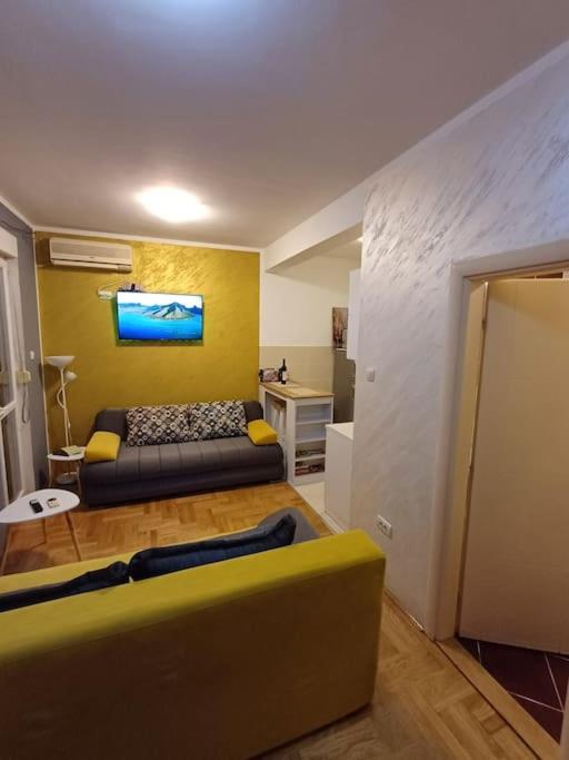 Apartman Manja Petrovac - One-Bedroom Apartment - 1